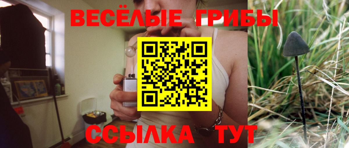 Псилоцибиновые грибы Psilocybine cubensis  Вход с VPN  Воркута  Галлюциногенные грибы Psilocybe 